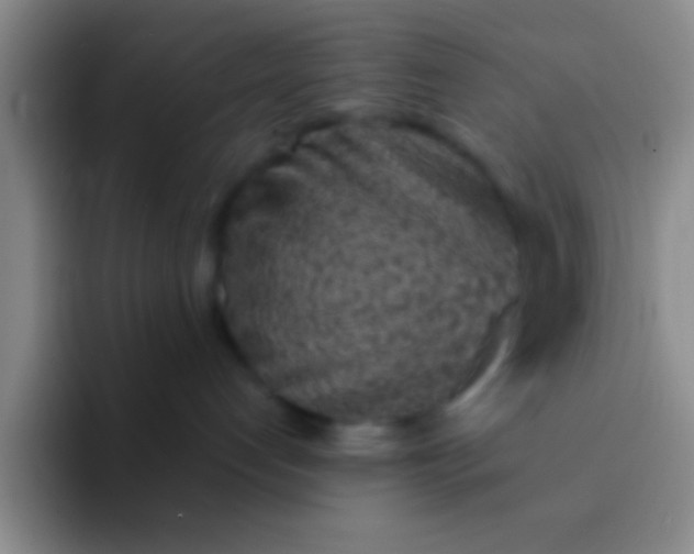 X0000092040192200709261957