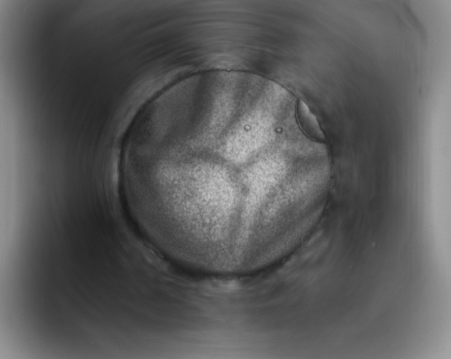 X0000092040194200709261957