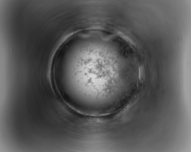 X0000092040195200709261957