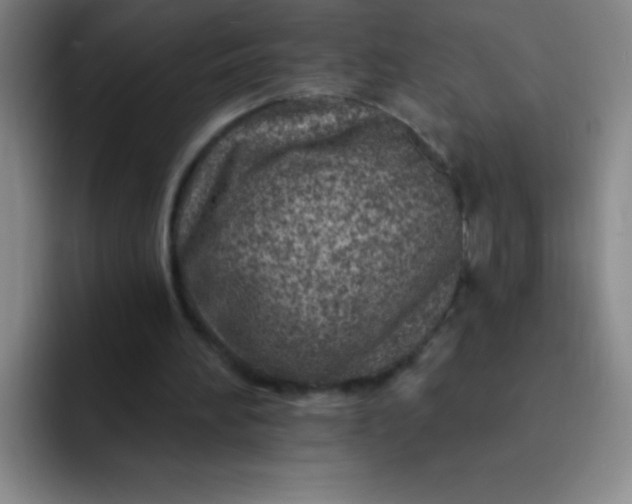 X0000092040196200709261957