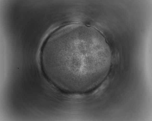 X0000092040198200709261957