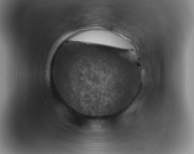 X0000092040200200709261957