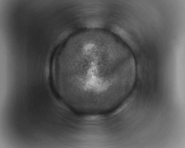 X0000092040202200709261957