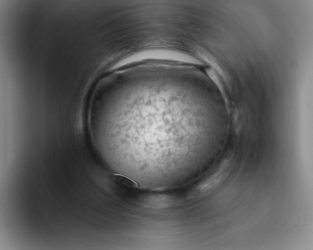 X0000092040203200709261957