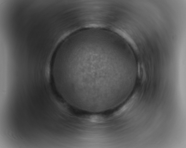 X0000092040204200709261957