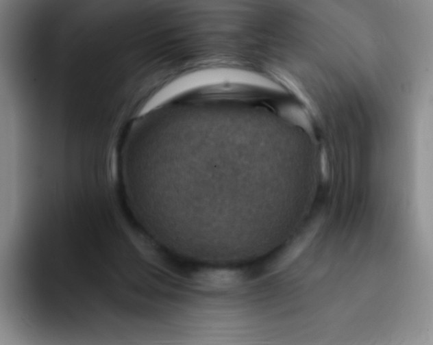 X0000092040205200709261957