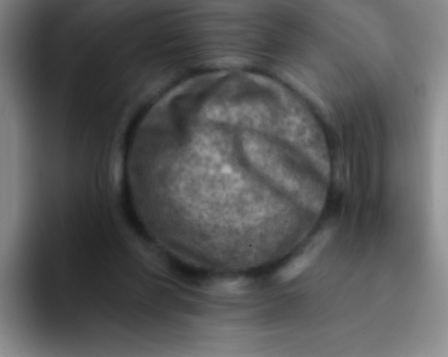 X0000092040206200709261956