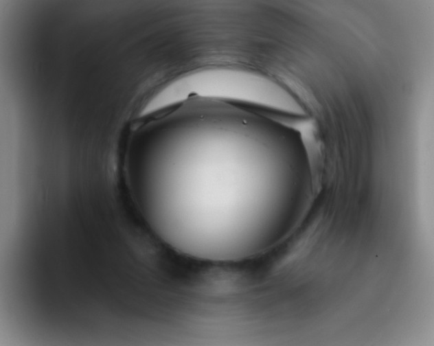 X0000092040207200709261956