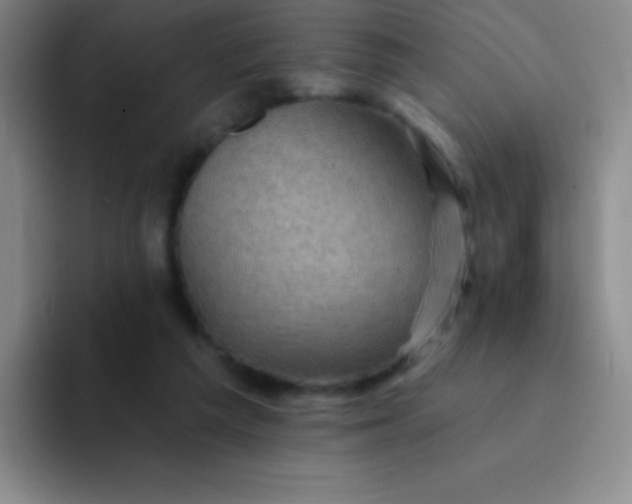 X0000092040209200709261956