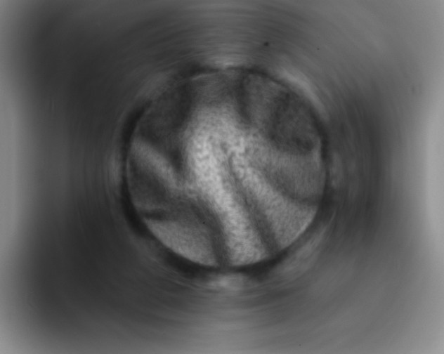 X0000092040210200709261956