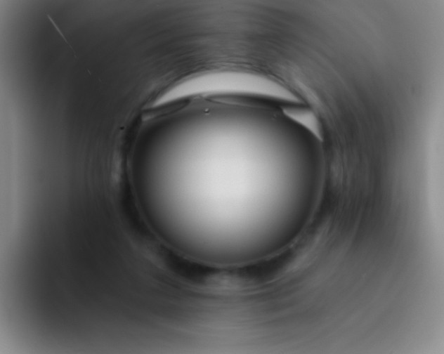 X0000092040211200709261956