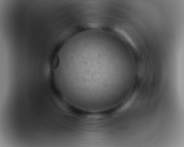 X0000092040213200709261956