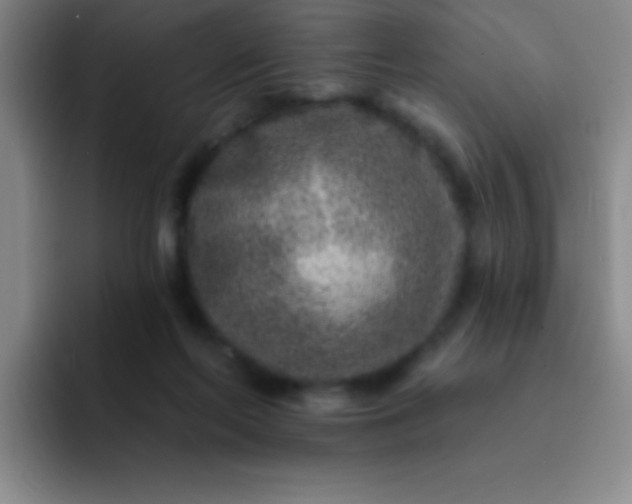 X0000092040214200709261956