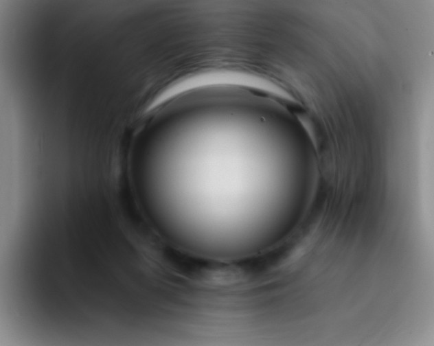 X0000092040215200709261956