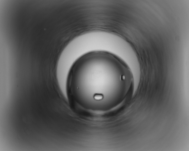 X0000092040219200709261956