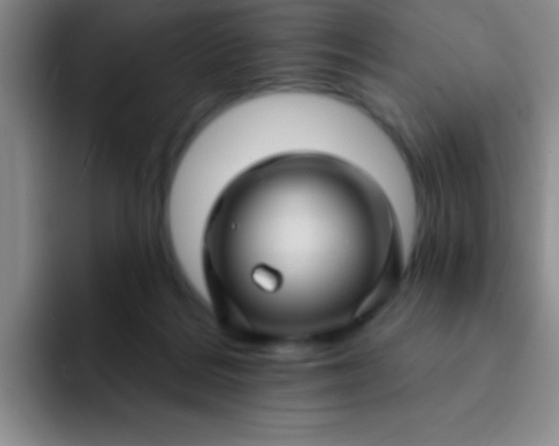 X0000092040220200709261956