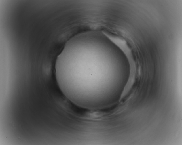 X0000092040221200709261956