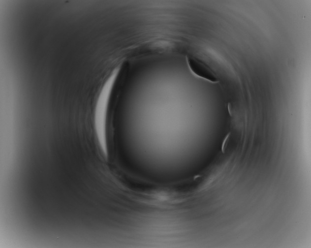 X0000092040223200709261956