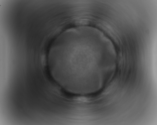 X0000092040224200709261956