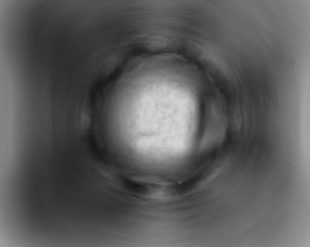 X0000092040226200709261956