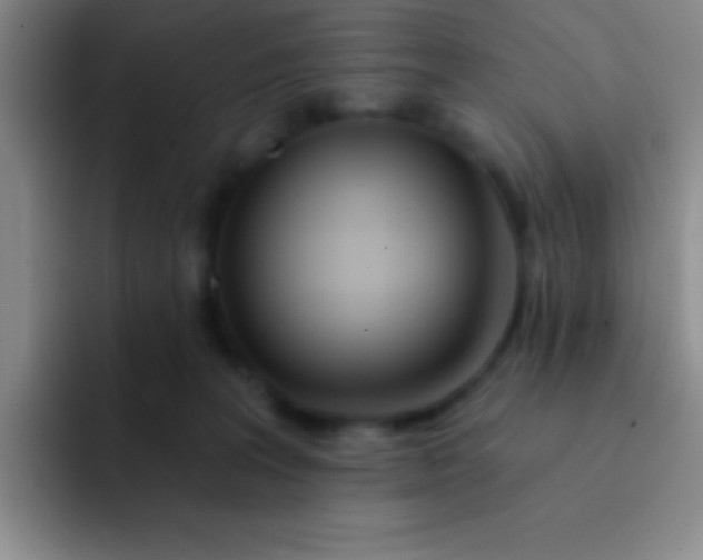 X0000092040227200709261956