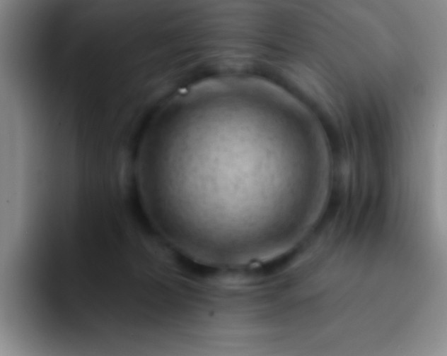 X0000092040228200709261956