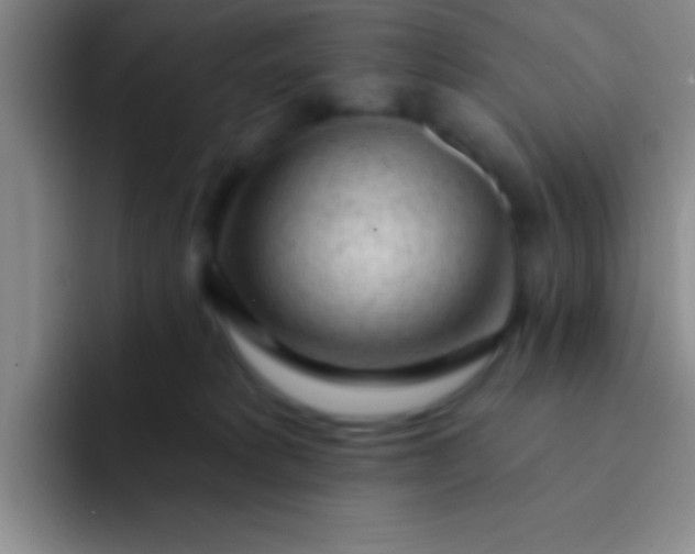 X0000092040229200709261956