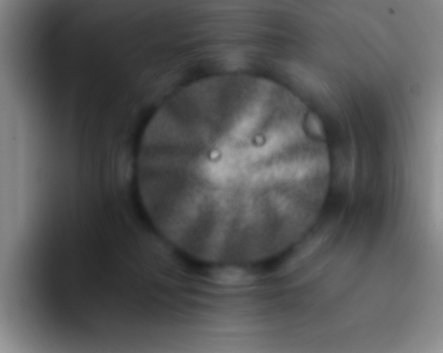 X0000092040230200709261956