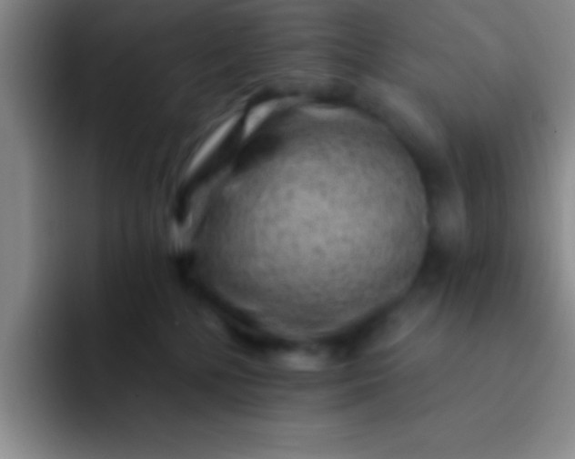 X0000092040232200709261956