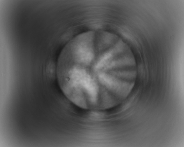 X0000092040234200709261956