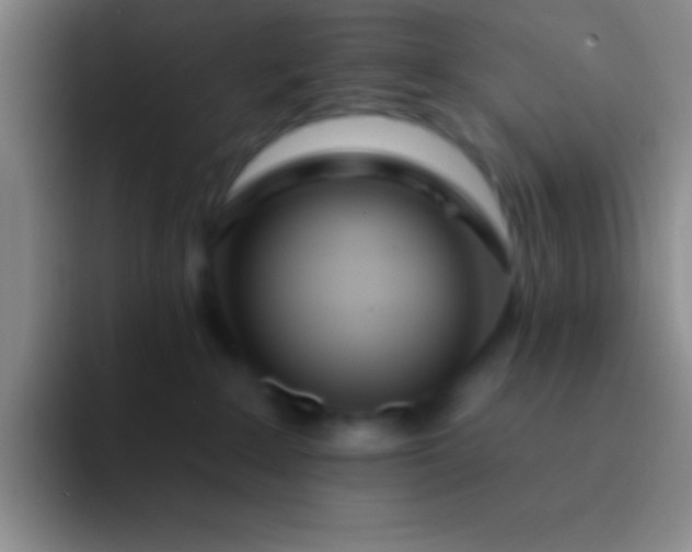 X0000092040235200709261956