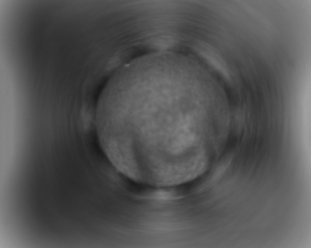 X0000092040236200709261956