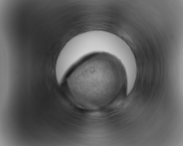 X0000092040237200709261956