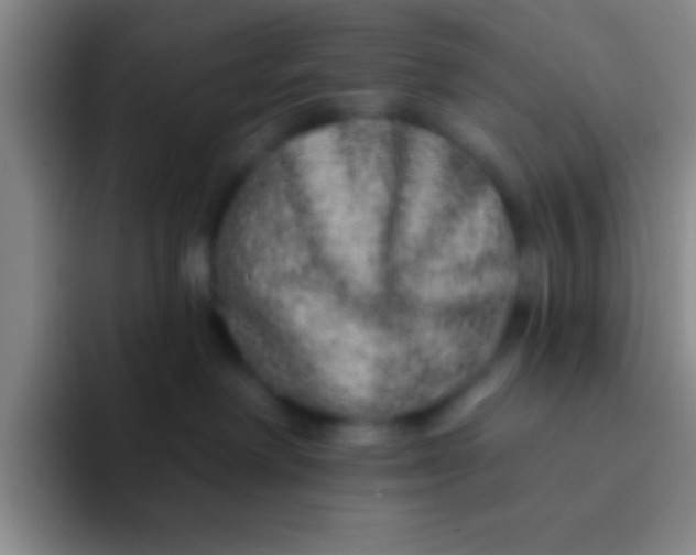 X0000092040238200709261956