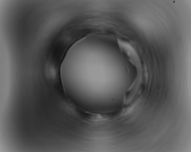 X0000092040239200709261956