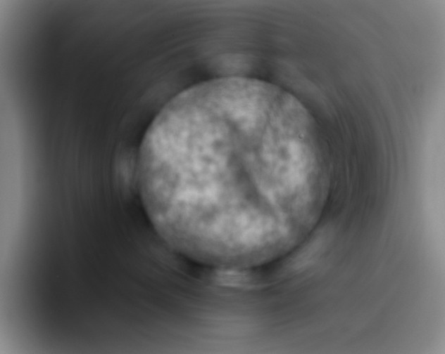 X0000092040240200709261956