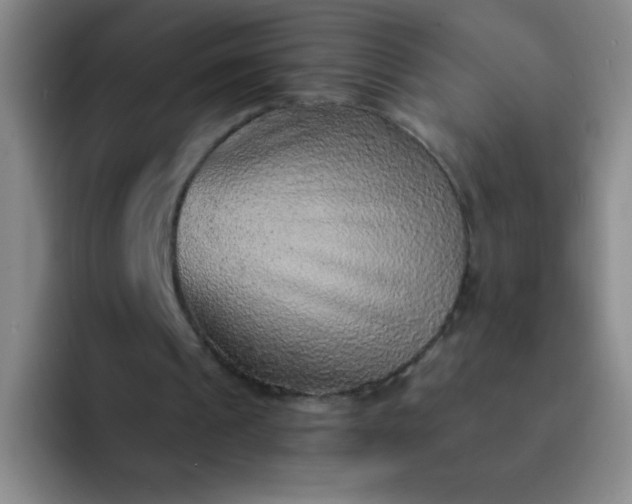 X0000092040241200709261956