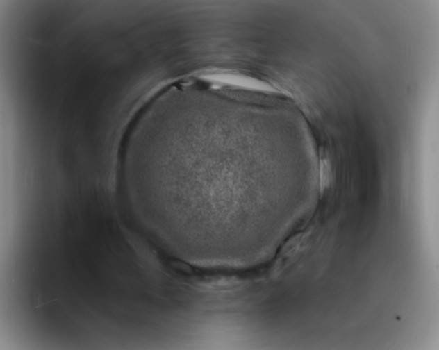 X0000092040243200709261956