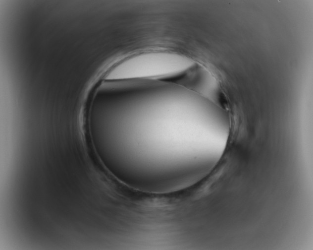 X0000092040244200709261956