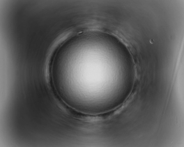 X0000092040245200709261956