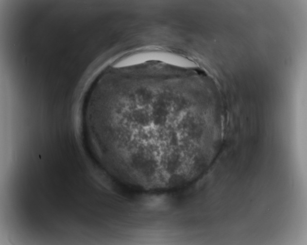 X0000092040247200709261956