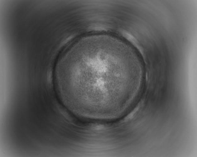 X0000092040249200709261956