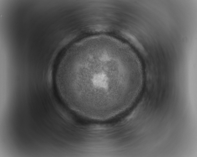 X0000092040250200709261956