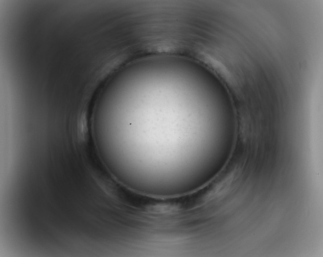 X0000092040251200709261956