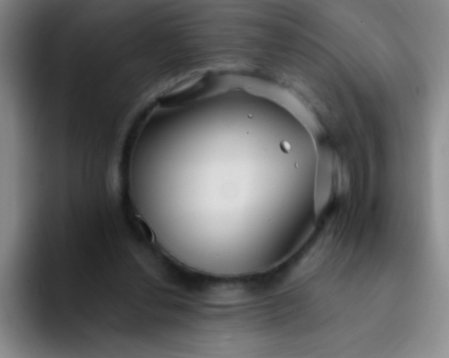 X0000092040252200709261956