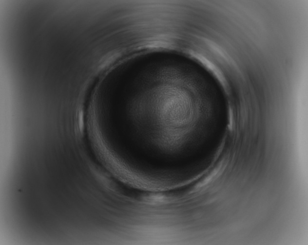 X0000092040253200709261956