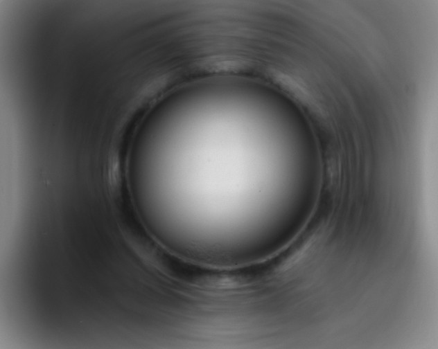 X0000092040254200709261956