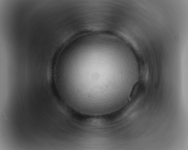 X0000092040255200709261956