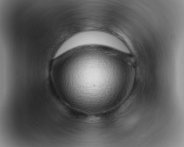 X0000092040257200709261956