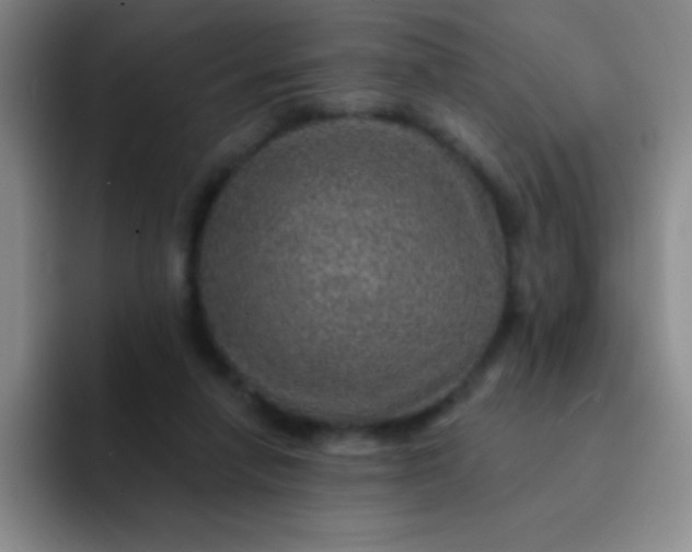 X0000092040258200709261956